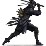 Ninja